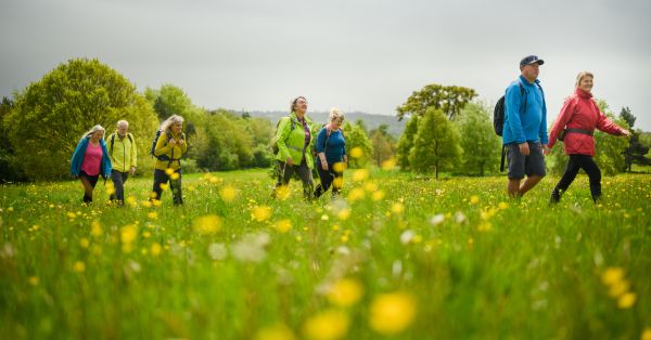 A group of walkers on a field with clouds above.